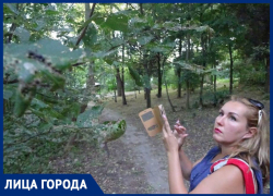 «Бермудский треугольник», в котором исчезают деревья: Елена Хатламаджиян о том, можно ли спасти ростовские парки