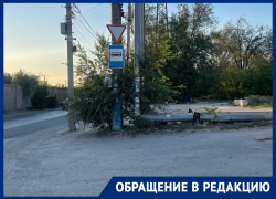 Нерадушный прием: туристы пожаловались на отсутствие остановки возле станции Первомайская