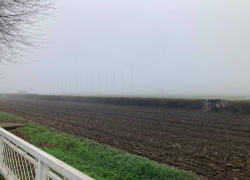 Собственник Ростовского ипподрома разрешил оставить лошадей, но ввёл строгие условия