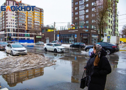 В Ростове 30 января потеплеет до +4, но вечером придут дождь и мокрый снег