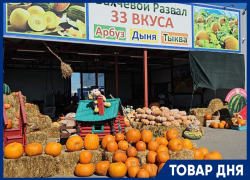 ТОВАР ДНЯ: Тыква в подарок на тыквенной ферме Андраника Срапионяна