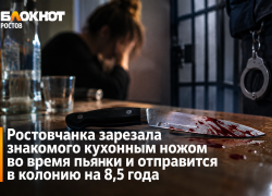 Ростовчанка ударила ножом гостя во время застолья и получила 8,5 года колонии