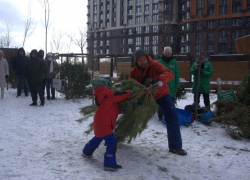 На чемпионате по ёлкометанию в Ростове побили рекорд