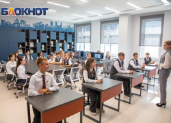 Пропасть в образовании: почему донские учителя уходят в репетиторство