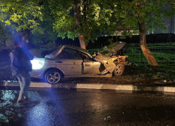 В Ростовской области иномарка врезалась в дерево, водитель погиб