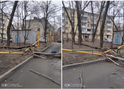 Более 300 ростовчан остались без газа из-за упавшего на трубу дерева