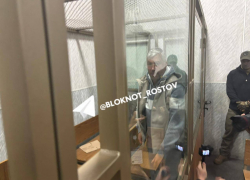 Алексея Логвиненко доставили в Ленинский суд Ростова для избрания меры пресечения