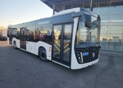 Власти Ростова рассказали, где будут работать 42 новых автобуса