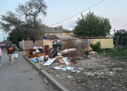 Министр ЖКХ прокомментировала ситуацию со свалками в Советском районе Ростова