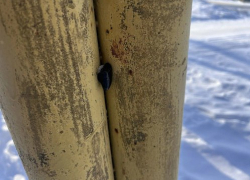 В Ростовской области задержали «закладчика», уже судимого за оборот наркотиков 