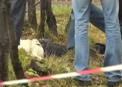 Полуразложившийся труп мужчины ужаснул отдыхающих в лесопарке под Ростовом