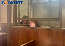 Дело Федотовой снова попросили закрыть от СМИ из-за вымышленной гостайны 