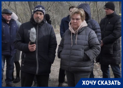 Жители Ростова обратились к Путину с просьбой помочь сохранить рощу на левом берегу Дона
