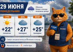 В начале недели ожидается переменная облачность и небольшой вечерний дождь