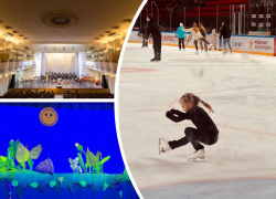 Вспомнить детство, покататься на коньках и научиться мяукать смогут ростовчане на выходных