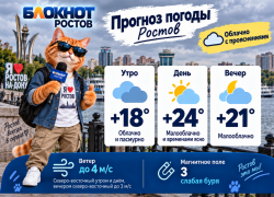 Пасмурный выходной и до +24 прогнозируют синоптики в субботу 19 сентября в Ростове