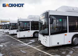 Минимум до весны продолжат работу автобусные маршруты в садовые товарищества в Ростовской области  