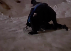 До 20 лет колонии – в Ростове вынесли приговор по делу о подготовке теракта