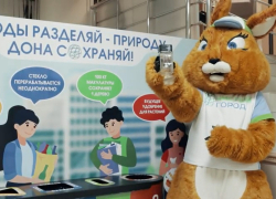 Календарь: 15 ноября отмечается Всемирный день вторичной переработки