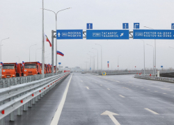 «Вместо леса – трасса»: Известный защитник природы России выступил в защиту Кумженской рощи в Ростове