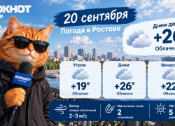 В последний день выборов в Ростове ожидается теплая, хоть и облачная погода