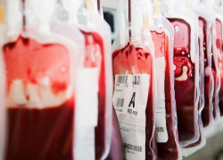 Родители в Ростове не разрешили врачам перелить кровь младенцу