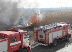 В Ростовской области проводят плановые выжигания травы
