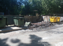 В Ростове дети сожгли четыре мусорных бака, играя с тополиным пухом