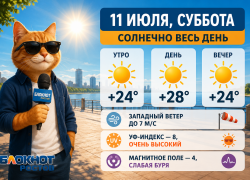 В Ростове-на-Дону 11 июля будет солнечно и жарко до +28