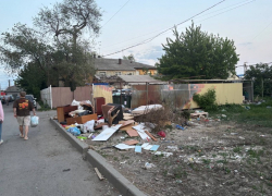 «Позор показушникам»: ростовчане жалуются на транспорт, мусор и амброзию