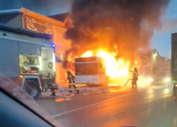 Видео: в Суворовском полностью сгорел автобус