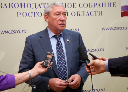 Уличенный в недостоверности сведений о доходах ростовский депутат зарабатывает 228 тысяч в месяц