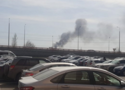 Под Ростовом произошел крупный ландшафтный пожар 20 марта