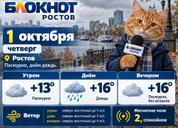 Первый день октября в Ростове будет дождливым, пасмурным и до +16 градусов