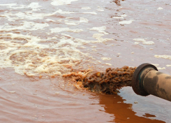 Многоэтажки в районе Лесопарковой сливают канализационные стоки в Ботанический сад