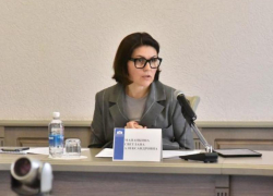 Депутата Светлану Мананкину проверяют правоохранители по подозрению в мошеннических действиях — источник 