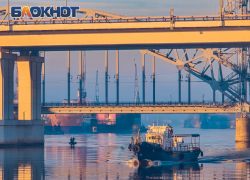 Для египетских животных Ростовская область отправила подсолнечный шрот