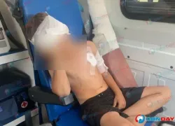Покусавшего мальчика волка усыпили в Ростовской области