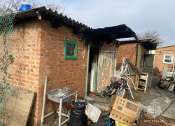 Собака спасла семью от пожара в гараже и бане в Ростовской области 