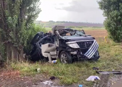 Двое взрослых и семилетний мальчик погибли в ДТП с обгоном в Ростовской области