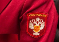 В Ростовской области изъяли 460 кг рыбной продукции за шесть месяцев 