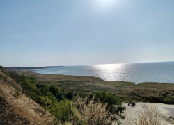Как спасти Азовское море: ученые ищут решения в Ростове-на-Дону