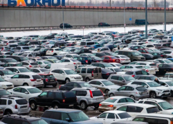 «Енотик» и «Бегемотик»: 30% ростовчан дают прозвища своим автомобилям