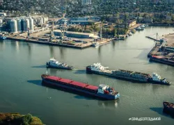 В Ростовской области на аукцион выставили причалы морского порта