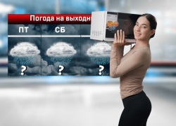 В Ростове последние выходные ноября резко потеплеет и будет лить дождь