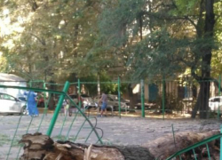 Жара спасла малышей от убийственного дерева на детской площадке Ростова