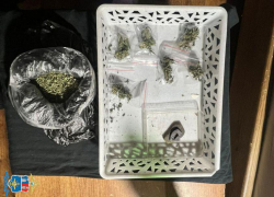 Транспортные полицейские изъяли более 100 граммов наркотиков в Батайске