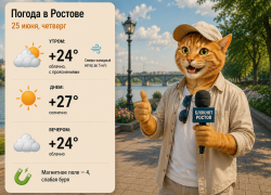 Слабая магнитная буря и легкий ветер ожидается в Ростове 25 июня