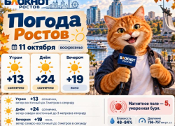 До +24 и солнечно: в Ростове ожидается почти летняя погода