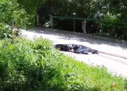 В Ростове мужчина выпал на асфальт из окна многоэтажки